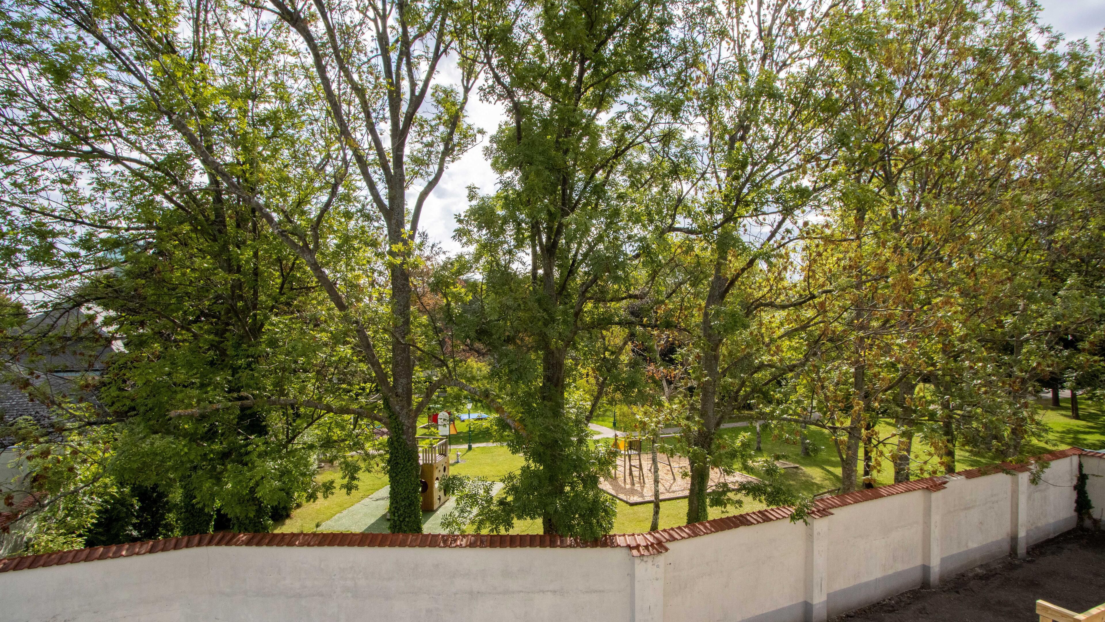 Aussicht in Park