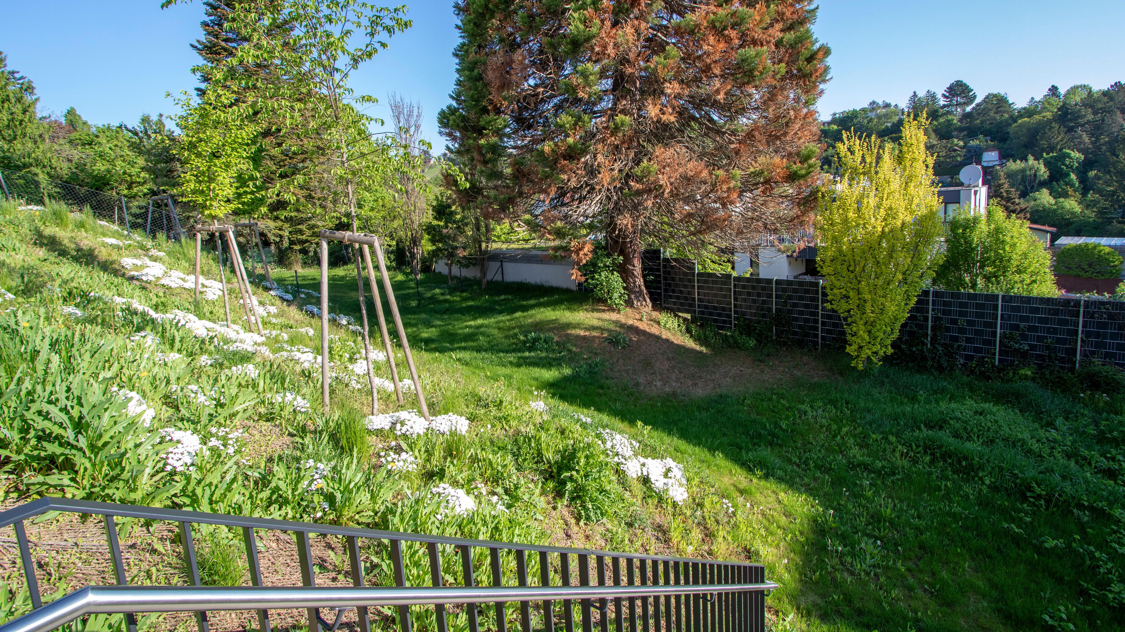 Gartenansicht, Böschung mit Begrünung und Baumbestand