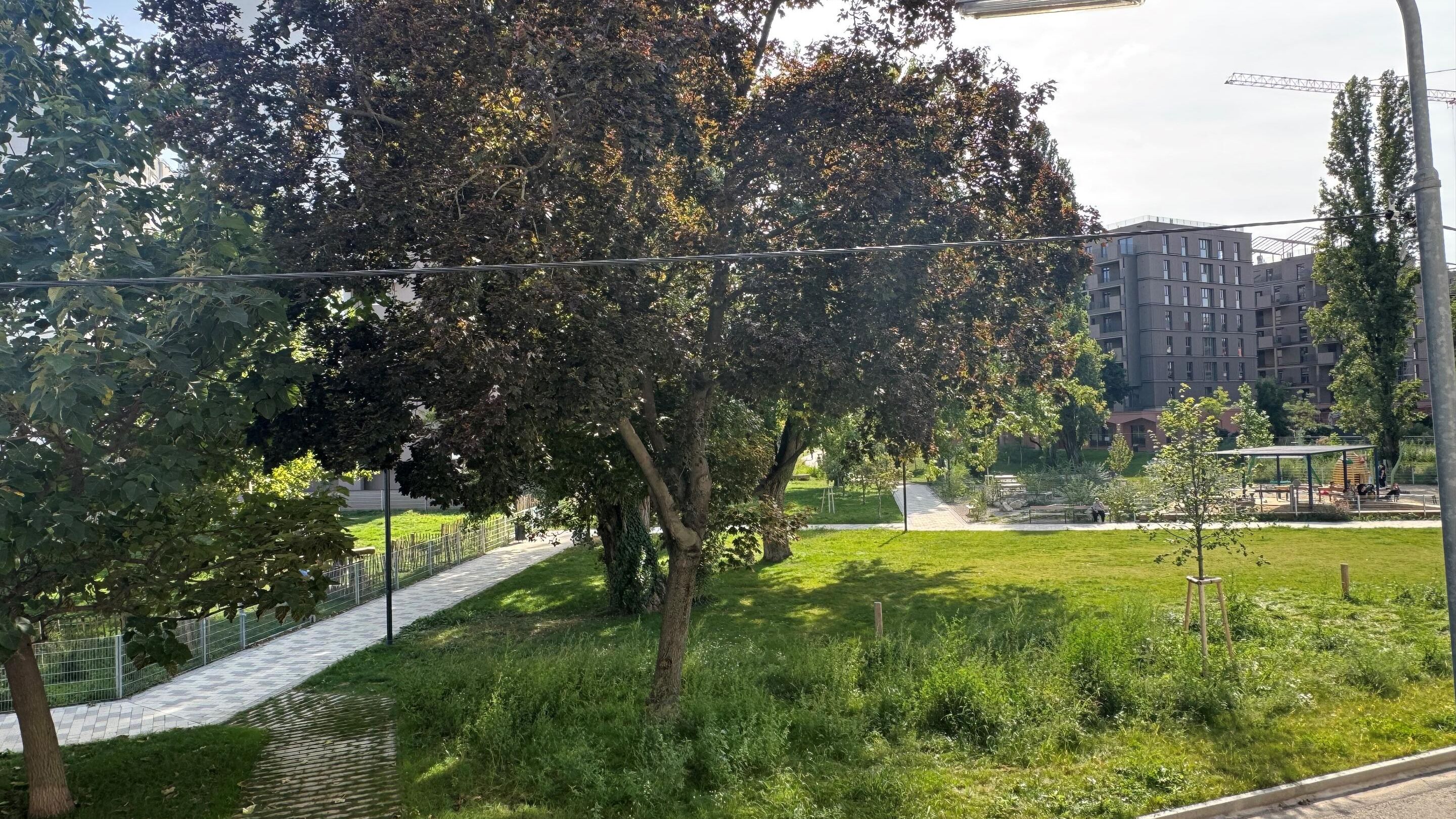 Aussicht in den weitläufigen Schrickpark