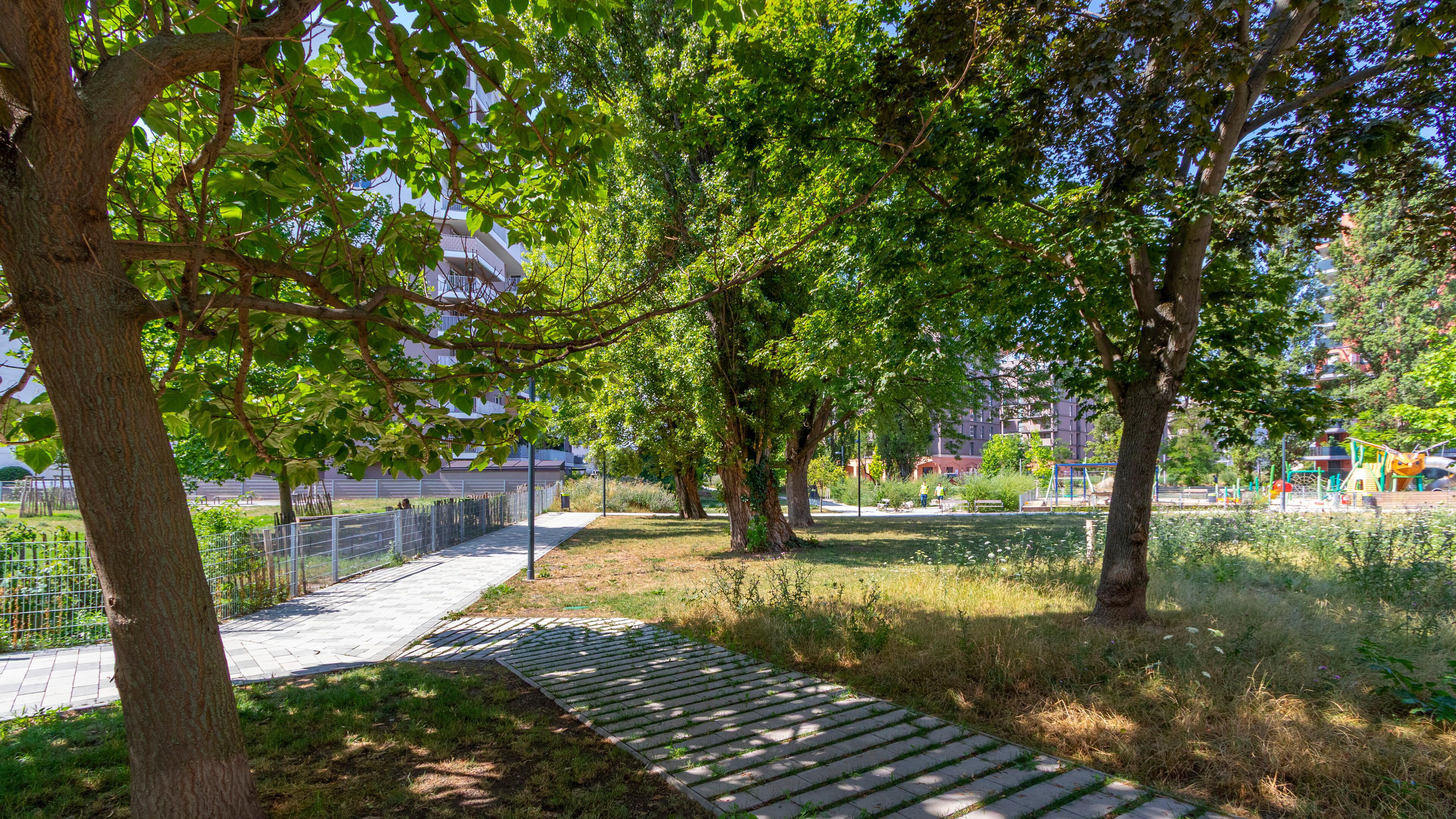 Blick in den Schrickpark
