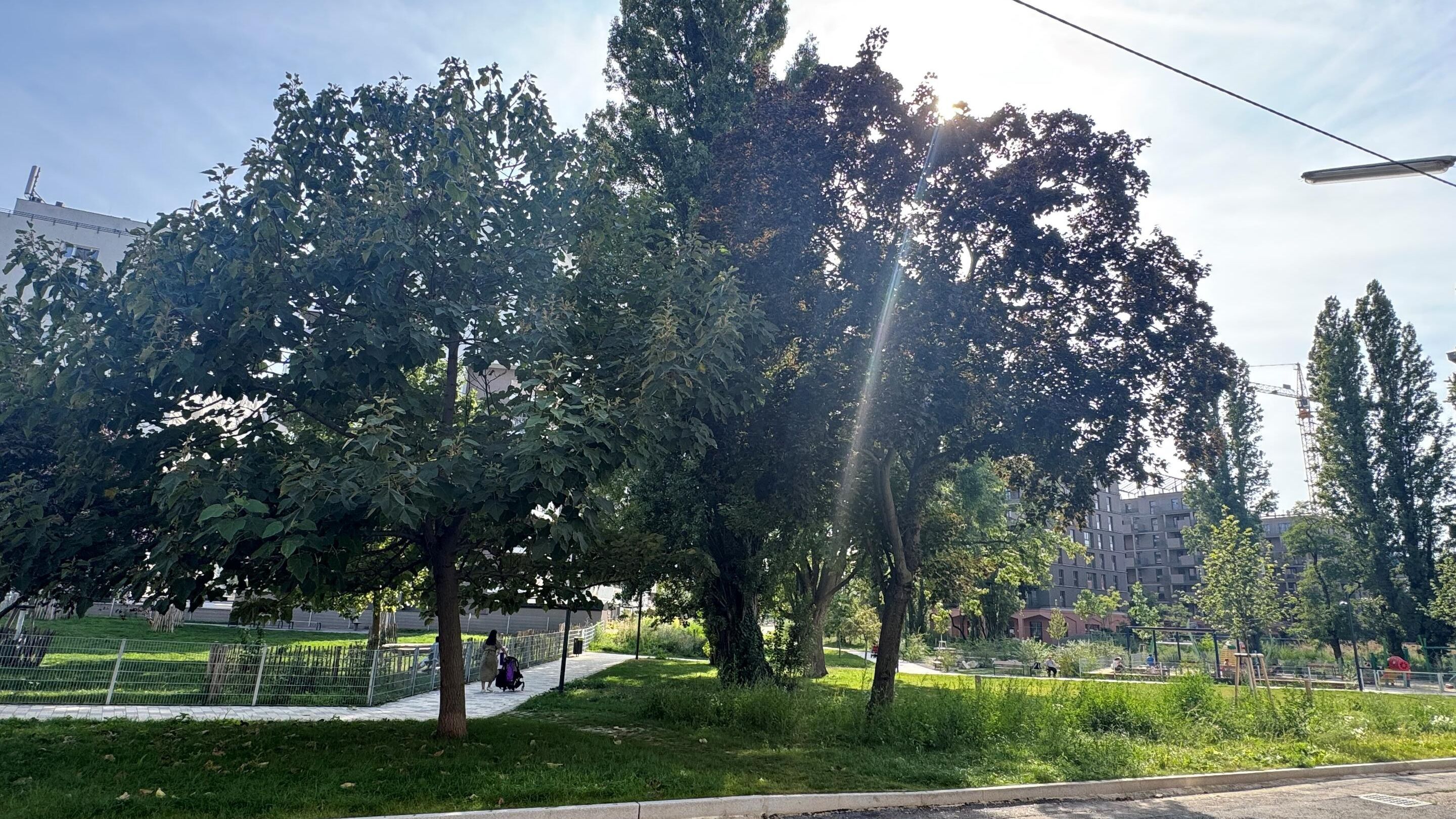 Aussicht in den weitläufigen Schrickpark