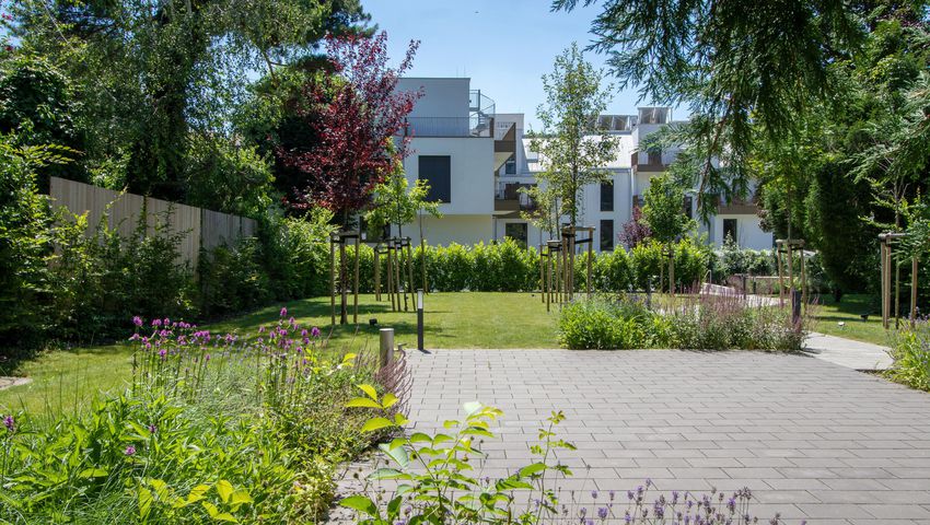 Blick auf den grünen Garten im Innenhof mit gepflasterter Terrassenfläche