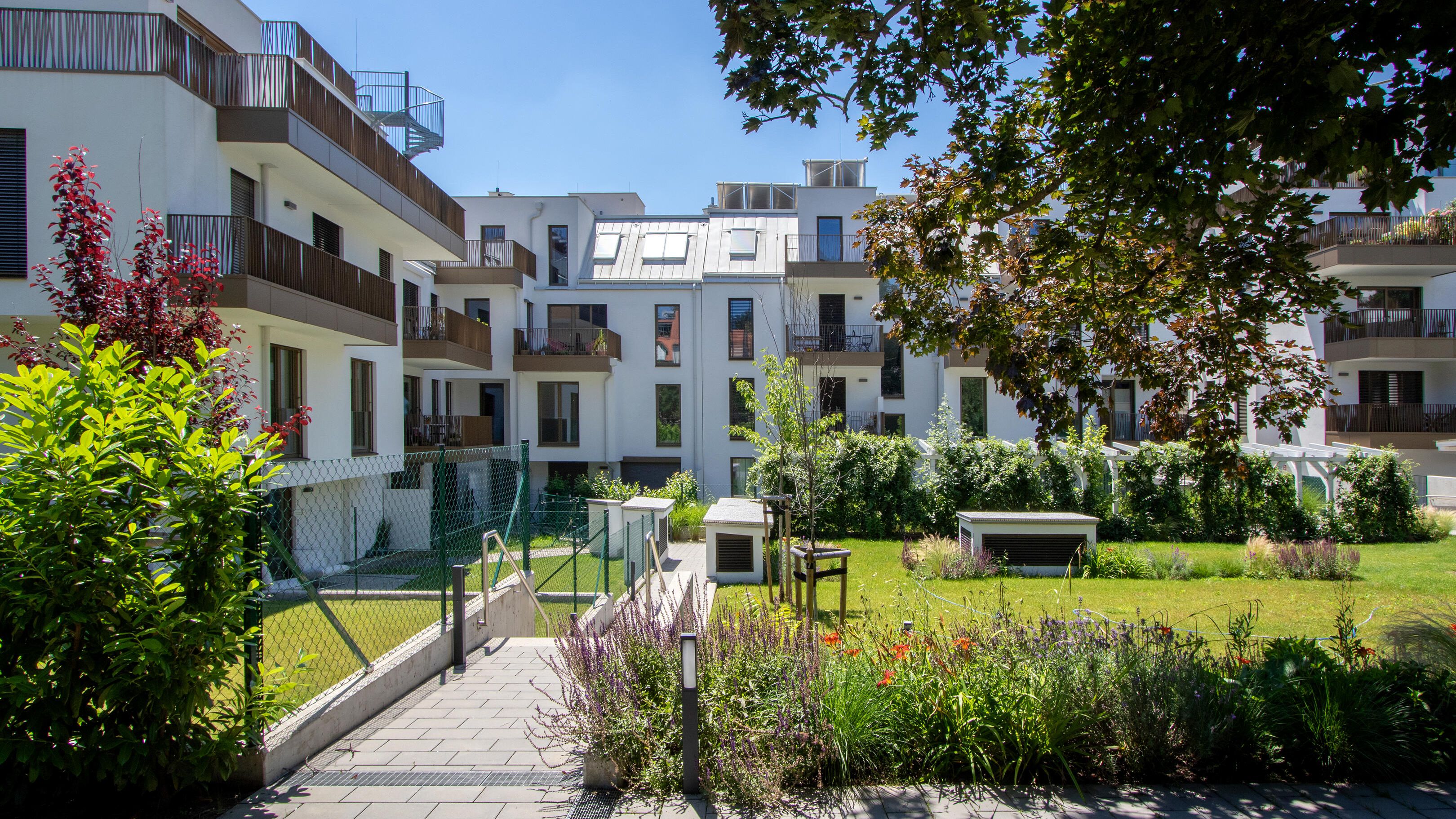 Grüner Garten im Innenhof