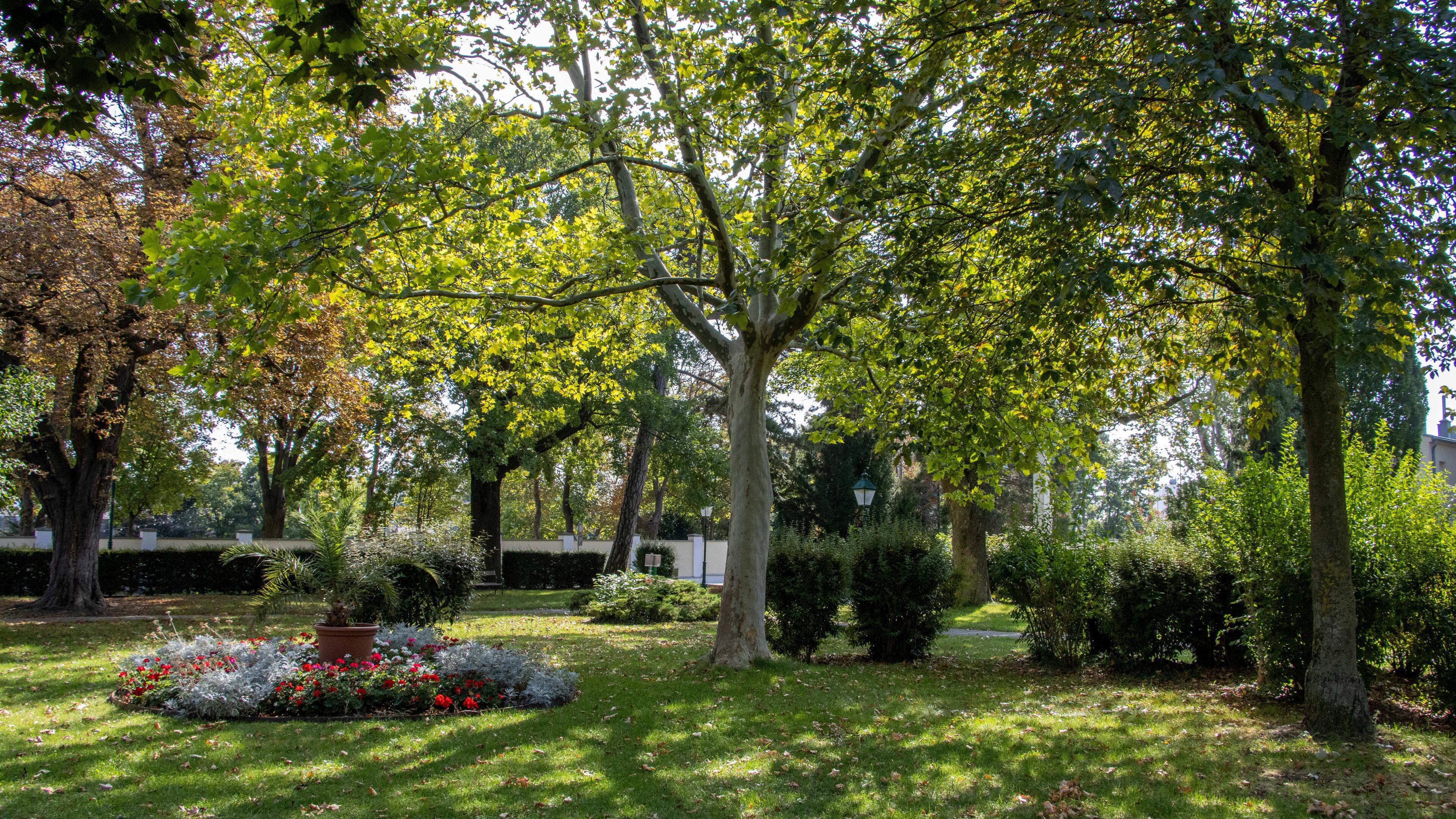 Blick in den Park mit Blumenbeet, Sträuchern und alten  Baumbestand.