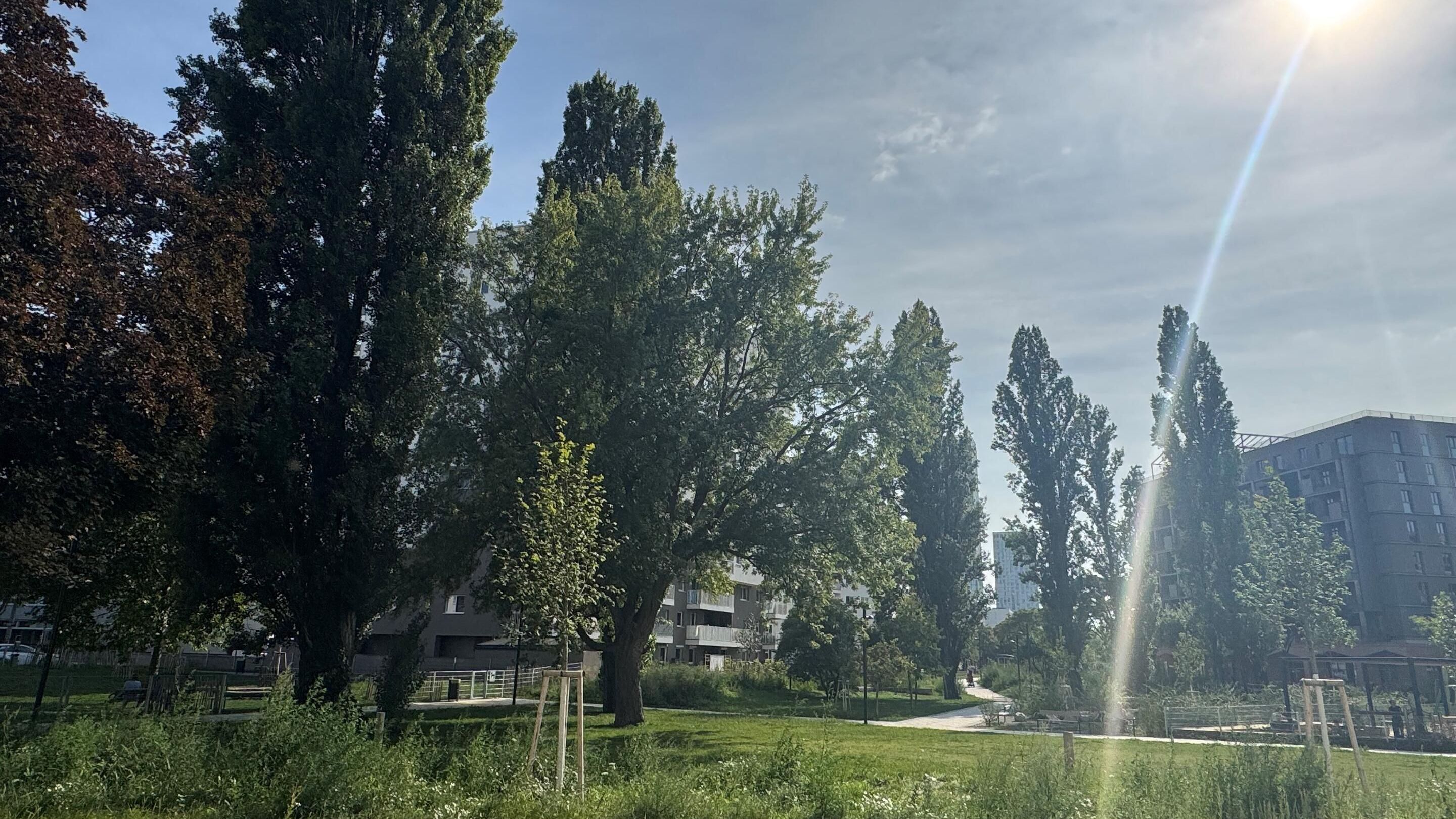 Aussicht in den weitläufigen Schrickpark